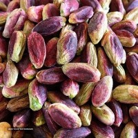 Pistachio Kernel For Export